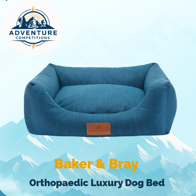 Win a Luxury Dog Adventure Bundle
