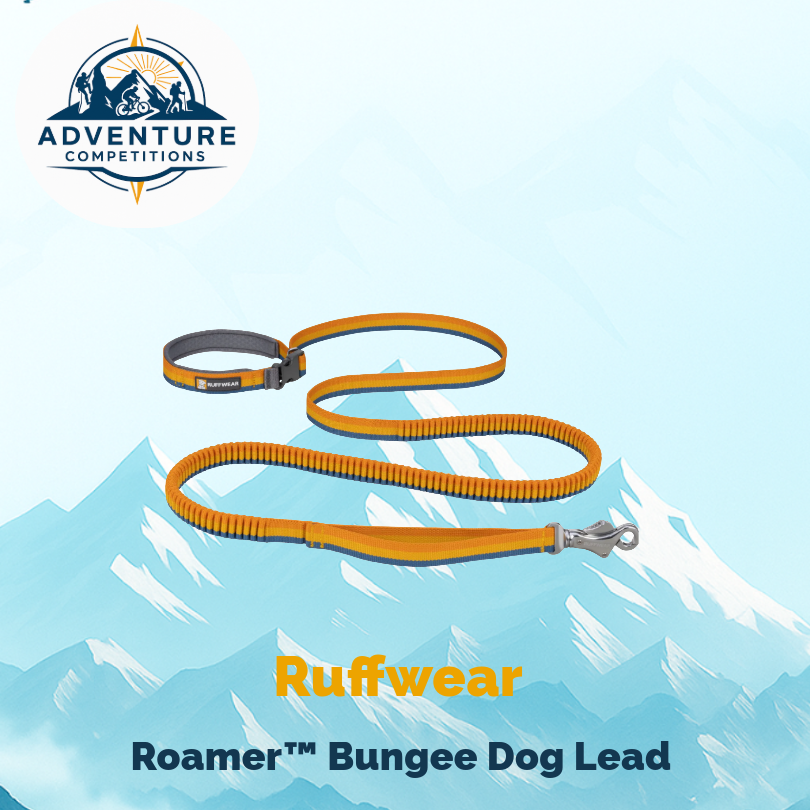 Win a Luxury Dog Adventure Bundle